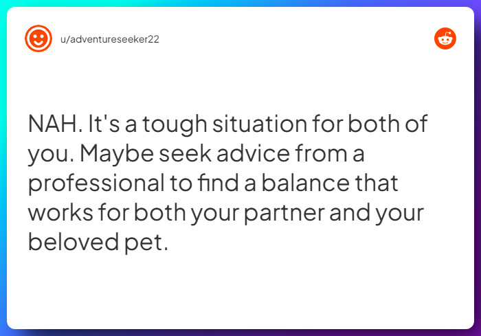 Comment from u/adventureseeker22