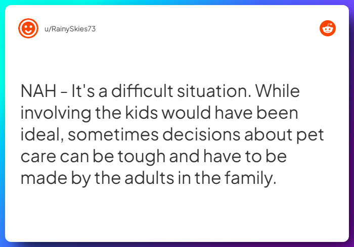 Comment from u/RainySkies73