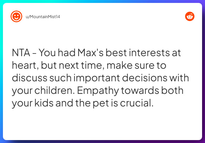 Comment from u/MountainMist14