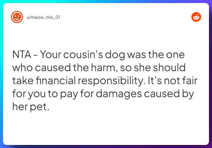 Comment from u/meow_mix_01