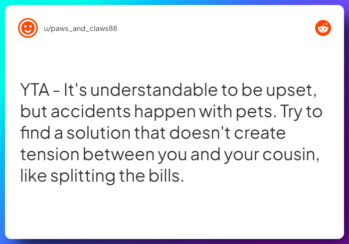 Comment from u/paws_and_claws88