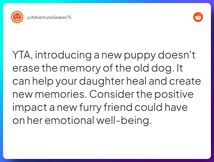 Comment from u/AdventureSeeker75