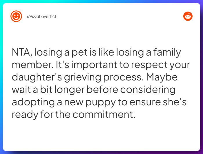 Comment from u/PizzaLover123