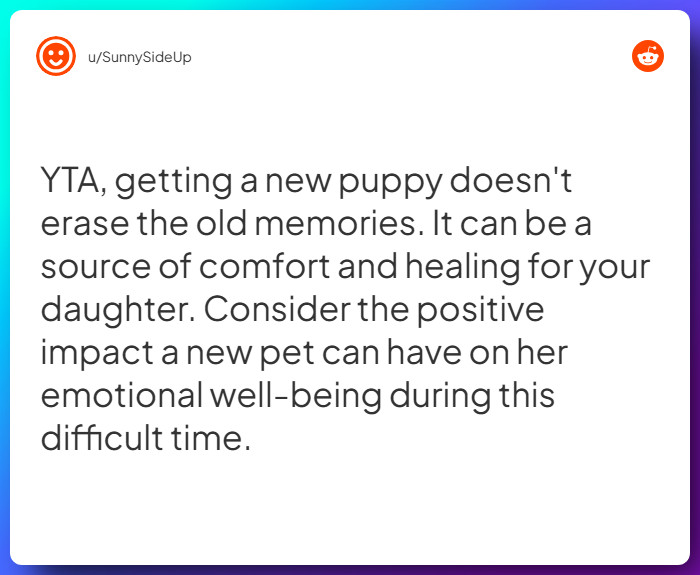 Comment from u/SunnySideUp