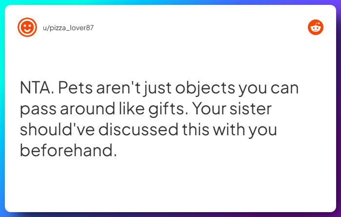 Comment from u/pizza_lover87