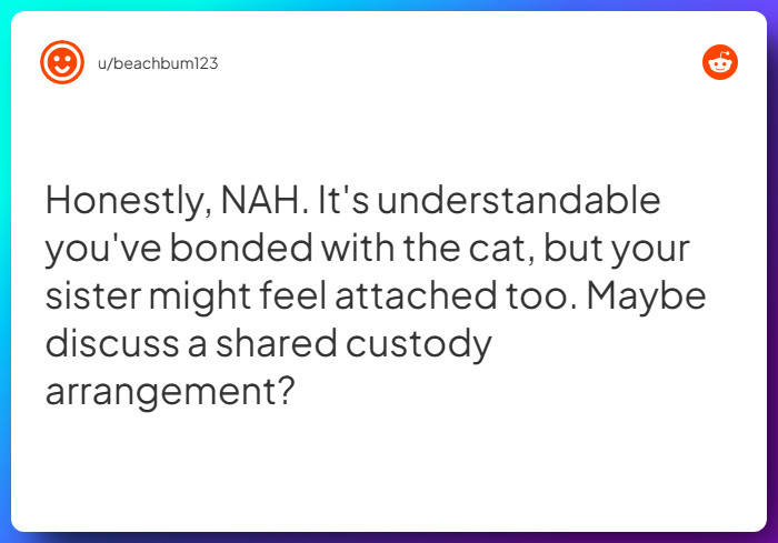 Comment from u/beachbum123