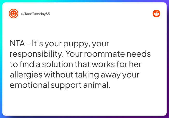 Comment from u/TacoTuesday85