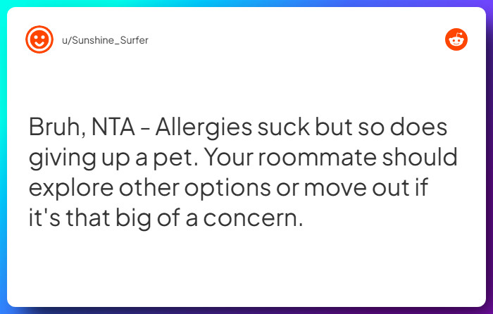 Comment from u/Sunshine_Surfer