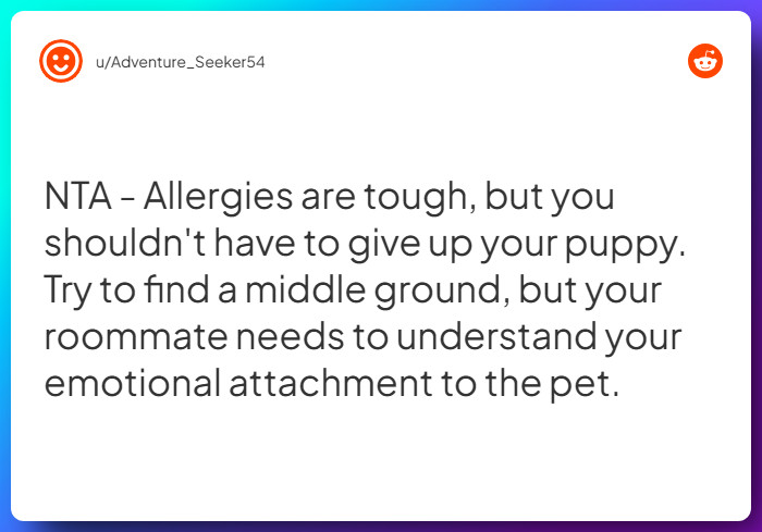 Comment from u/Adventure_Seeker54