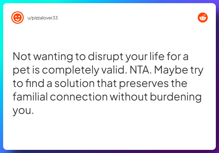 Comment from u/pizzalover33