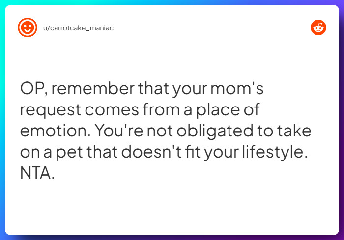 Comment from u/carrotcake_maniac