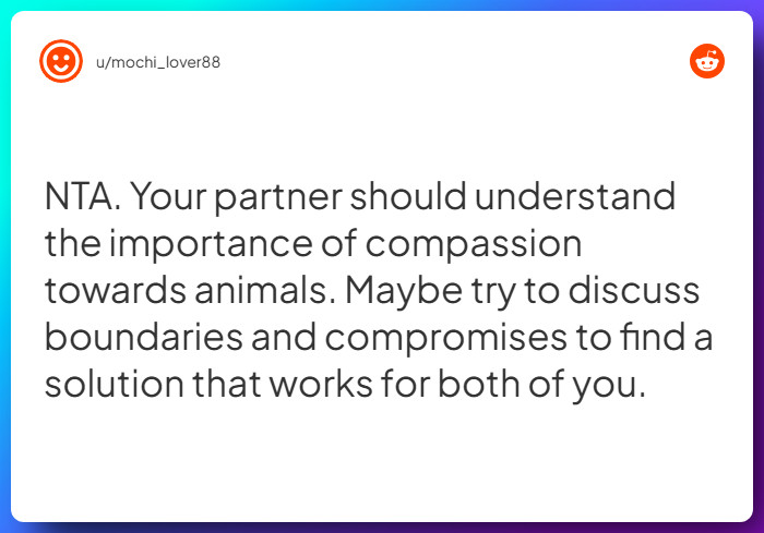 Comment from u/mochi_lover88