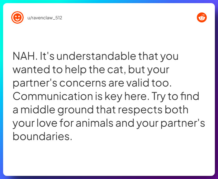 Comment from u/ravenclaw_512