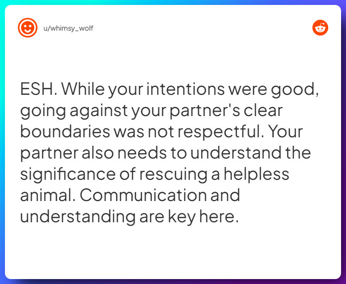 Comment from u/whimsy_wolf