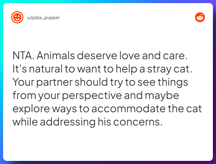 Comment from u/pizza_pupper