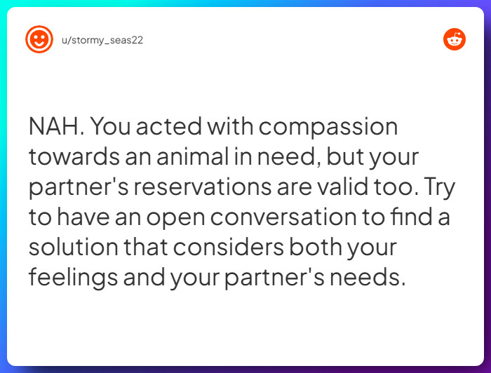 Comment from u/stormy_seas22