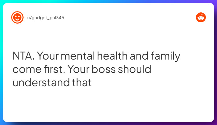 Comment from u/gadget_gal345