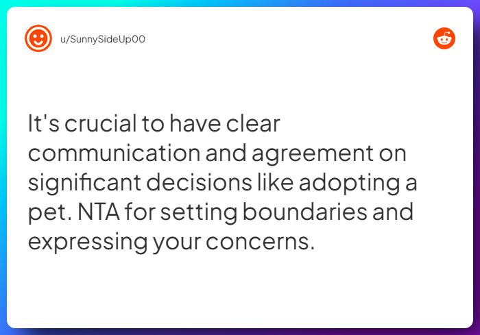 Comment from u/SunnySideUp00