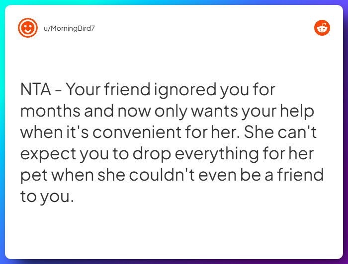 Comment from u/MorningBird7