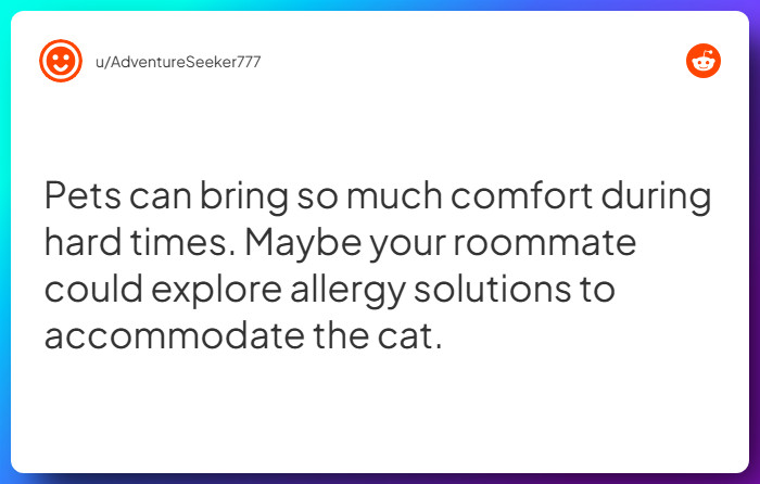 Comment from u/AdventureSeeker777