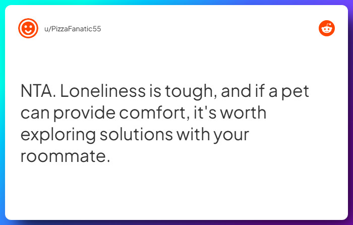 Comment from u/PizzaFanatic55