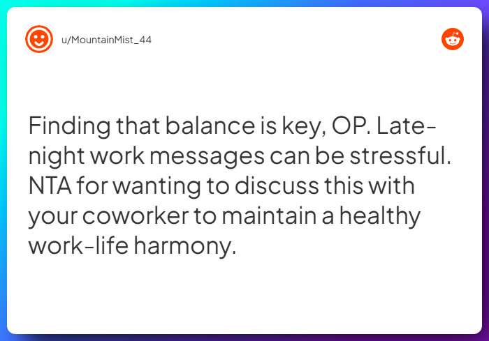 Comment from u/MountainMist_44