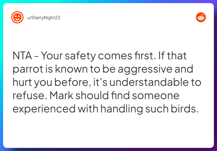 Comment from u/StarryNight23