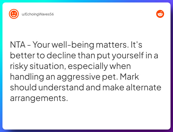 Comment from u/EchoingWaves56