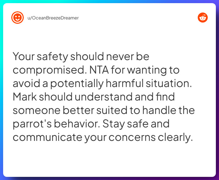 Comment from u/OceanBreezeDreamer