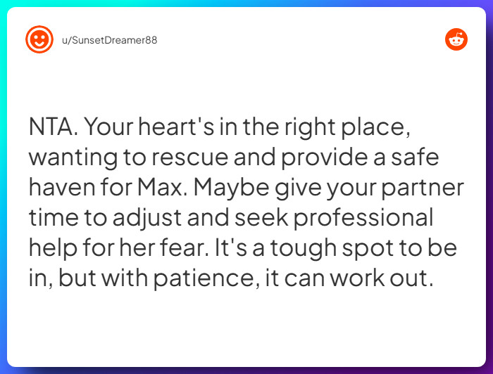 Comment from u/SunsetDreamer88