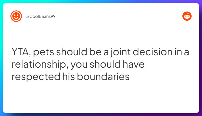 Comment from u/CoolBeans99