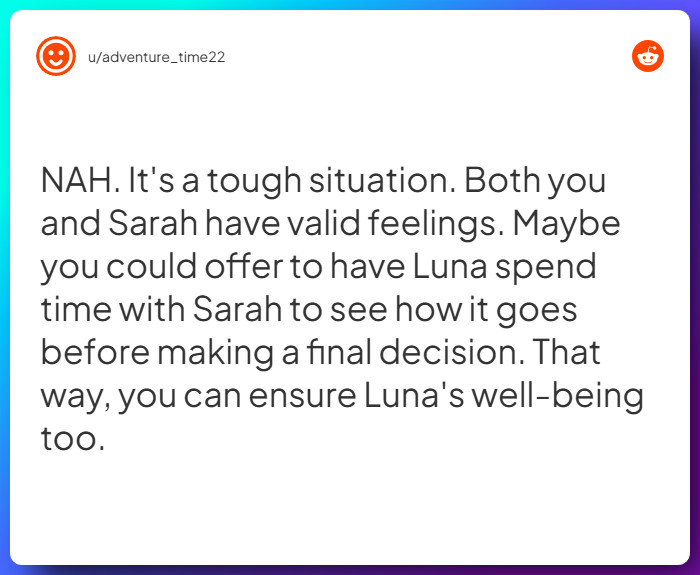 Comment from u/adventure_time22