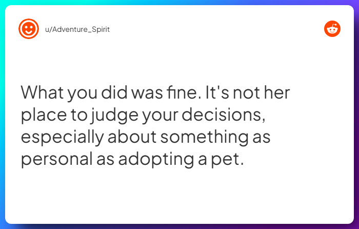 Comment from u/Adventure_Spirit