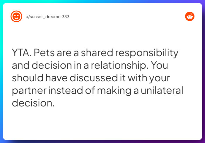 Comment from u/sunset_dreamer333