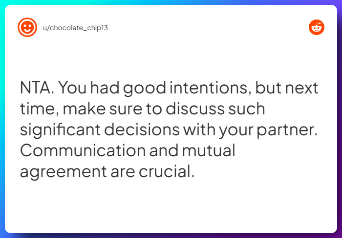 Comment from u/chocolate_chip13