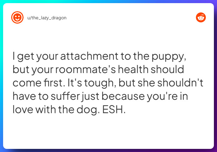 Comment from u/the_lazy_dragon