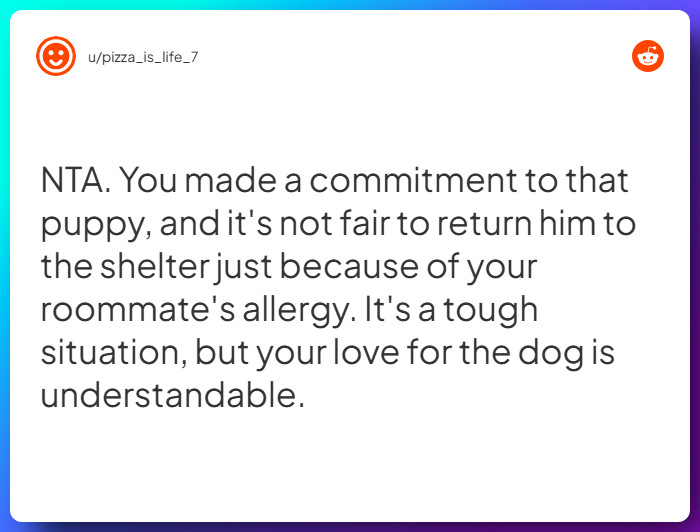 Comment from u/pizza_is_life_7