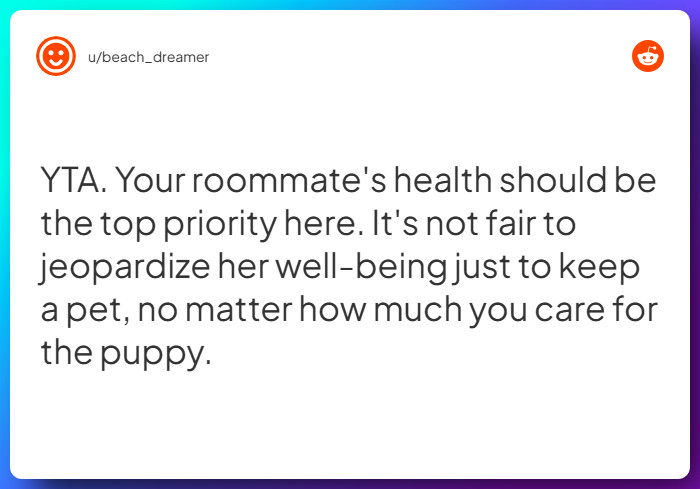 Comment from u/beach_dreamer