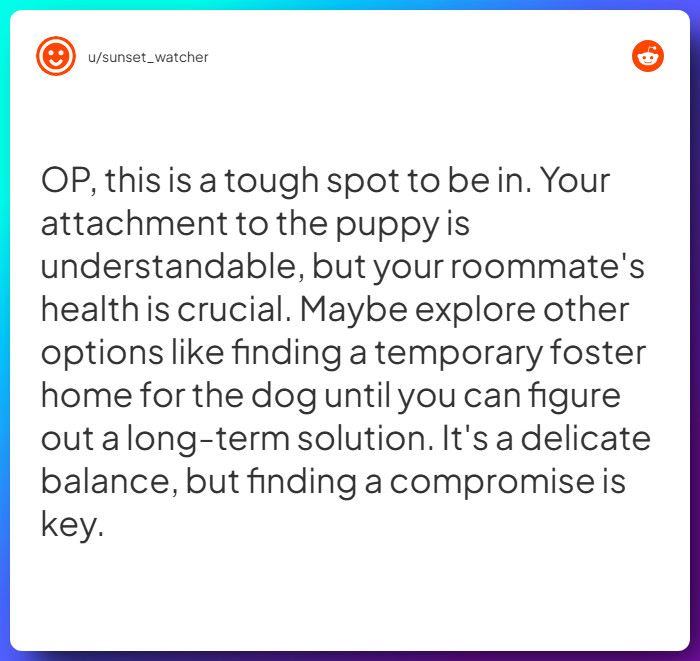 Comment from u/sunset_watcher