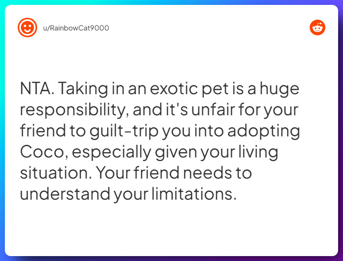 Comment from u/RainbowCat9000