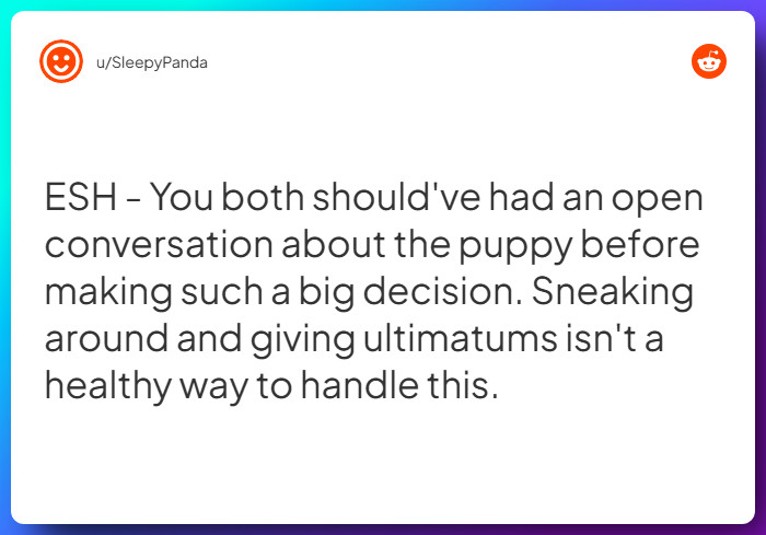 Comment from u/SleepyPanda