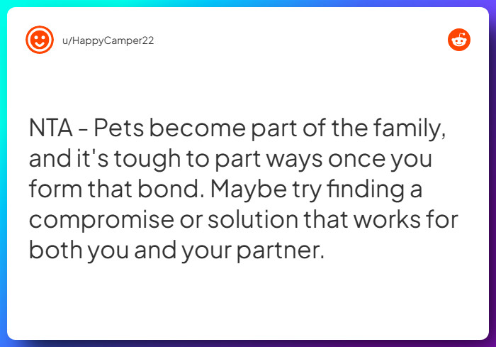 Comment from u/HappyCamper22