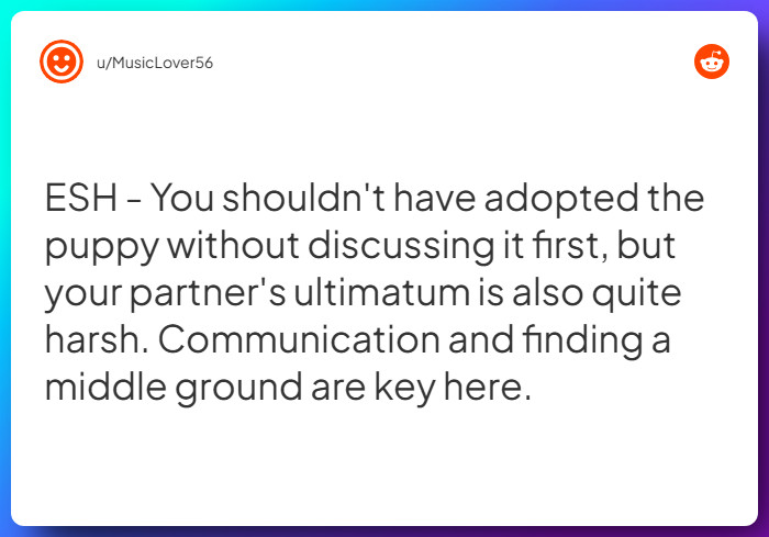 Comment from u/MusicLover56