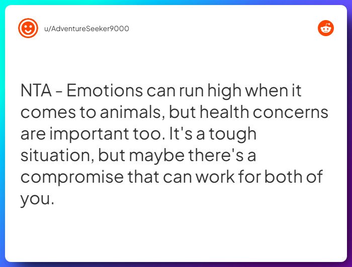 Comment from u/AdventureSeeker9000