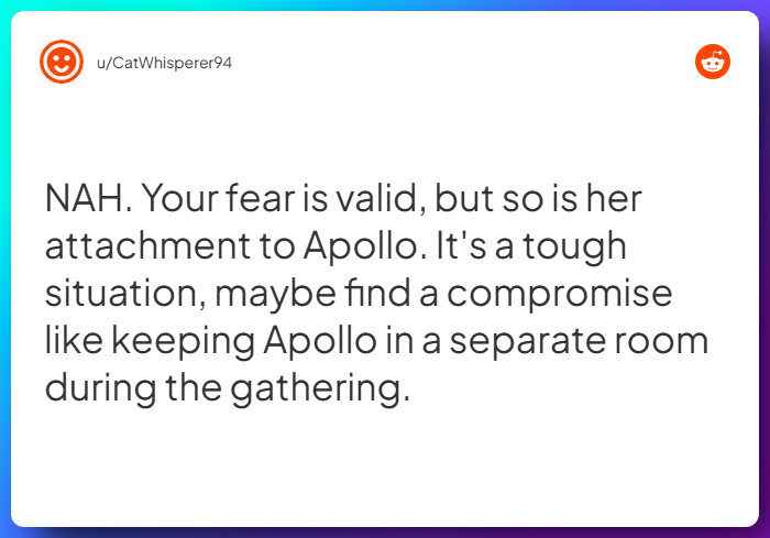 Comment from u/CatWhisperer94