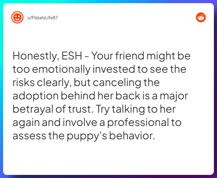 Comment from u/PizzaIsLife87