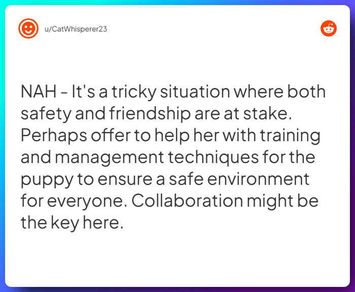 Comment from u/CatWhisperer23