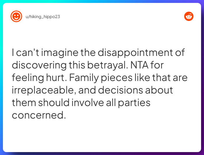 Comment from u/hiking_hippo23