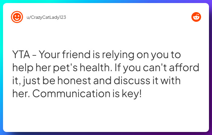 Comment from u/CrazyCatLady123