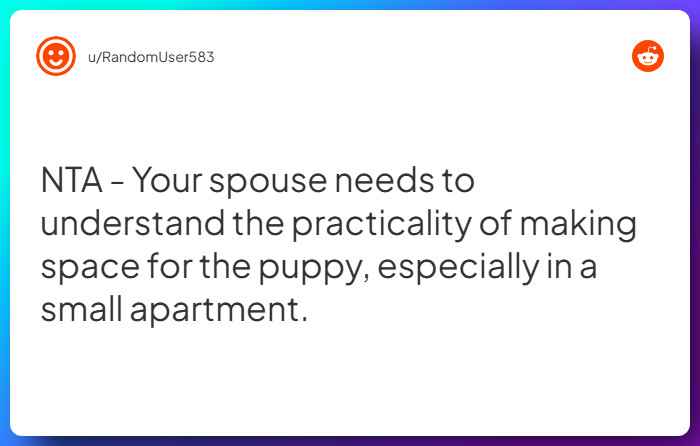 Comment from u/RandomUser583